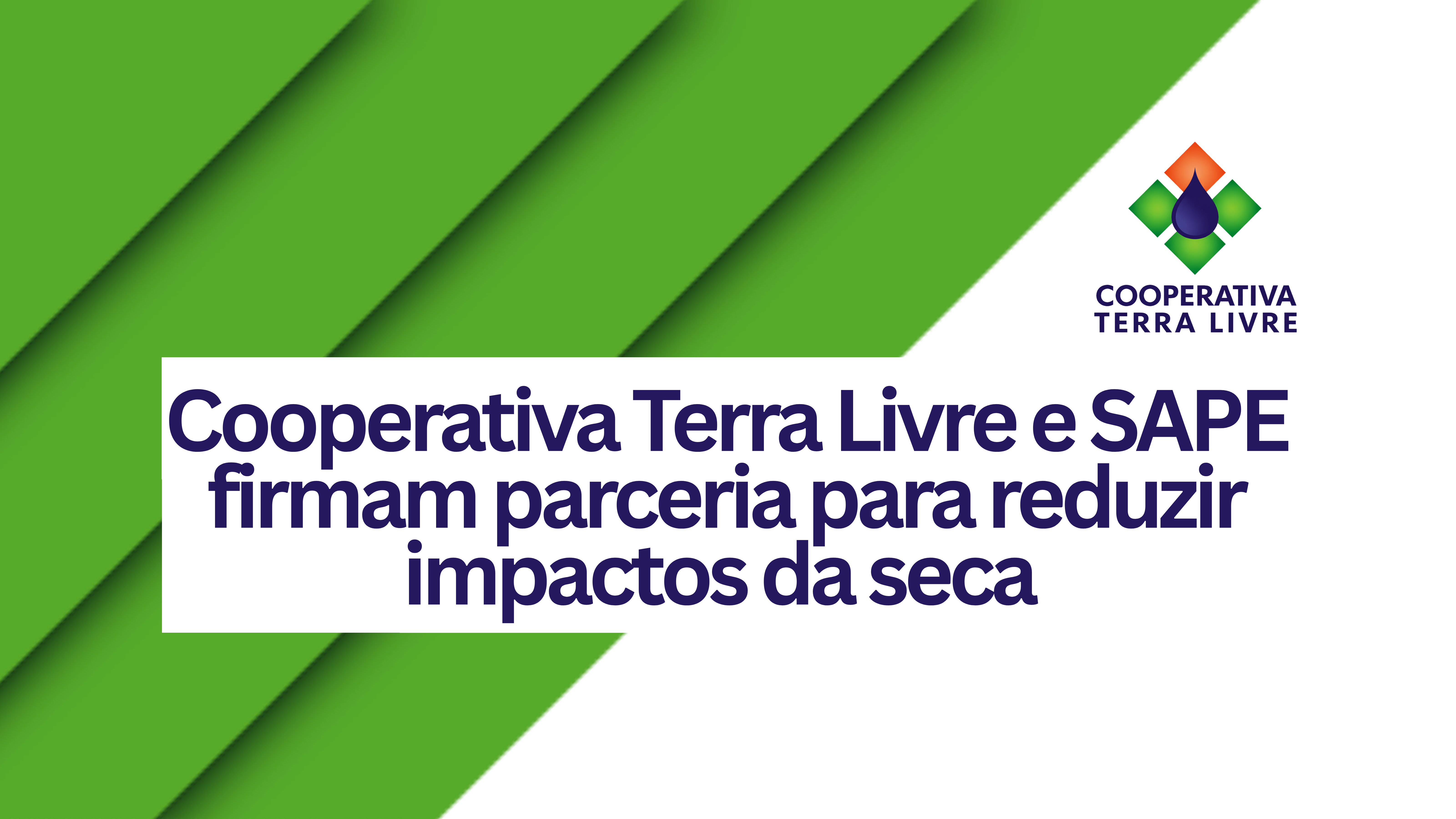 Cooperativa Terra Livre e SAPE firmam parceria para reduzir impactos da seca